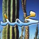 mohammad.jpg