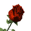 vbaf1c5577c.gif