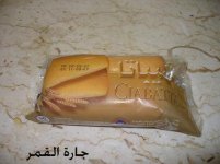شيباتا.jpg