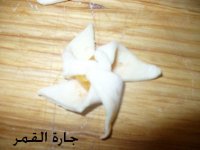 صورة رقم 4 لميني مراوح.jpg