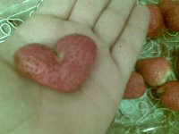 صورة132.jpg