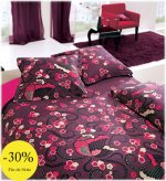 zinnia-pourpre.jpg