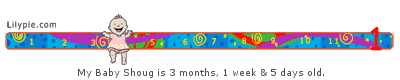 cdhsp3.png
