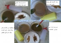 صوص كرمل3.JPG صوص كرمل3.JPG