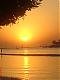 DSC00423.jpg