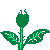 flower4b.gif