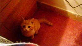 DSC00001.JPG