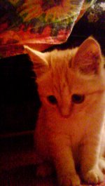 DSC00007.JPG