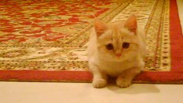 DSC00031.JPG
