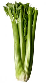 ttar_celery_v.jpg