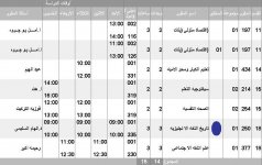 timetable 2008-2009 - 1st coursem.jpg