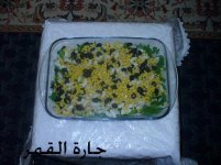 سلطة الجرجير والمعكرونة بالصلصة الأيطالية لجارة القمر.jpg