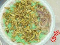 عيش اخضر.JPG