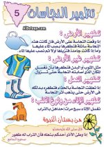 05.jpg