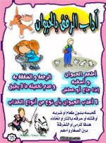 adab35.jpg