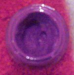 Image020.jpg