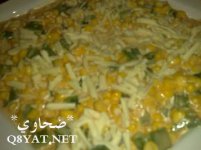 ضحاوي copy.jpg