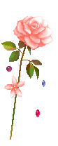 4055f18e15.gif