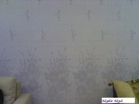 DSC00787.JPG