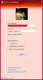 msn.jpg