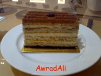 20090214179.jpg