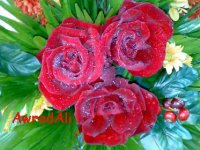 20090216188.jpg