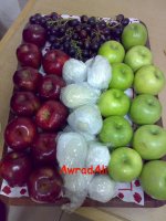 20090223234.jpg