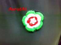 20090223236.jpg
