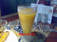 20090227261.jpg