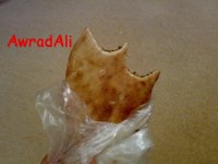 20090301279.jpg