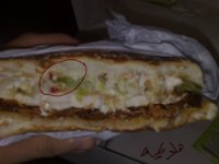البطريق4.jpg