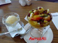 20090307313.jpg