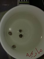 شاي اخضر2.jpg