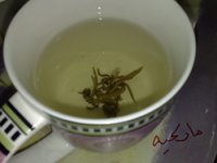 شاي اخضر4.jpg
