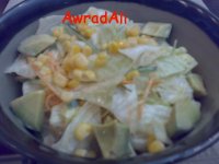 20090309321.jpg