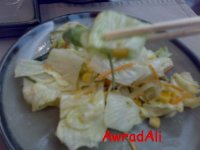 20090309322.jpg