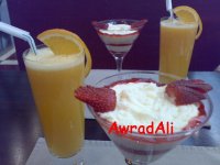 20090320384.jpg