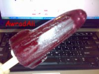 20090327401.jpg