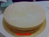 20090402433.jpg