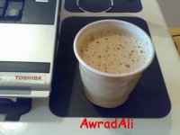 20090403443.jpg