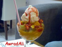 20090406493.jpg