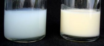 foremilk-hindmilk.jpg