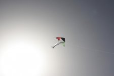 IMG_4983.JPG