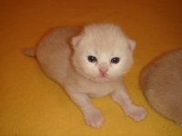 DSC03675.JPG