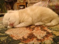 DSC03708.JPG