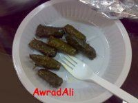 20090609959.jpg