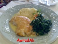 20090612978.jpg