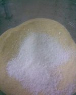 صورةبس2.jpg صورةبس2.jpg