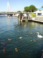 DSC02054.jpg