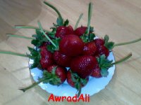 200906271143.jpg